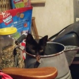 Meet your Posher, Mark